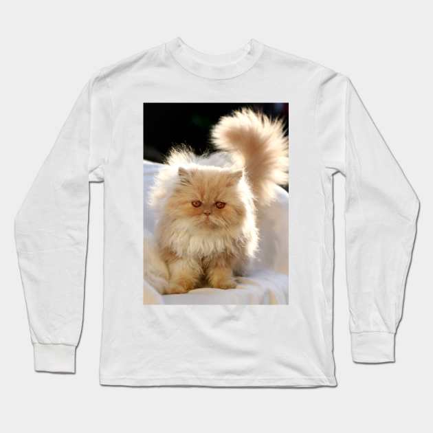 Look me in the eye and tell me it's not serious... Long Sleeve T-Shirt by micklyn